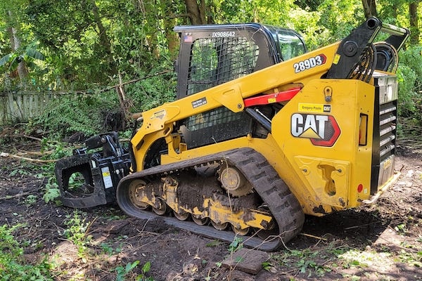 Tree Removal Clean Up