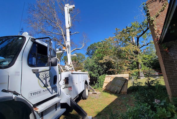 Tree Masters Tree Removal Vehicle