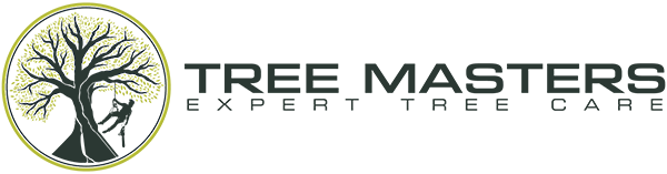Tree Masters NC